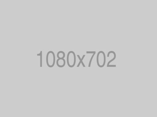 Project Consulting