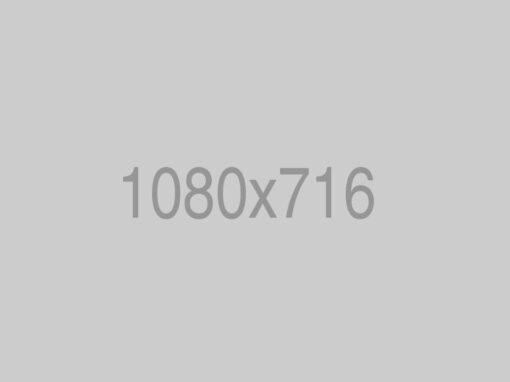 Project Plans
