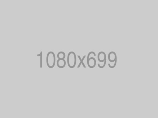 Organization Design