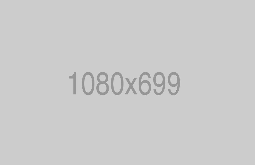 Organization Design